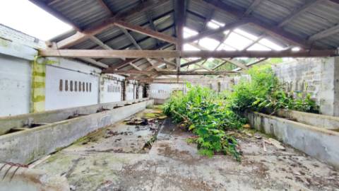 VENDA de TERRENO com VISTA MAR - São Brás, Ribeira Grande, Ilha de São Miguel, Açores