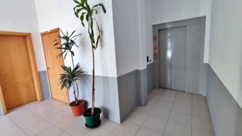 VENDA de ARRECADAÇÃO na cidade de Ponta Delgada (São José), Ilha de São Miguel, Açores