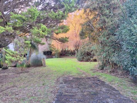 VENDA de AMPLA MORADIA ISOLADA com VASTO JARDIM e TERRENO - Horta, Ilha do Faial, Açores