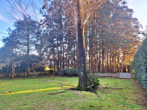 VENDA de AMPLA MORADIA ISOLADA com VASTO JARDIM e TERRENO - Horta, Ilha do Faial, Açores