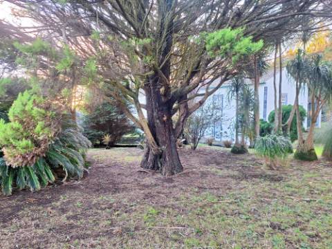 VENDA de AMPLA MORADIA ISOLADA com VASTO JARDIM e TERRENO - Horta, Ilha do Faial, Açores