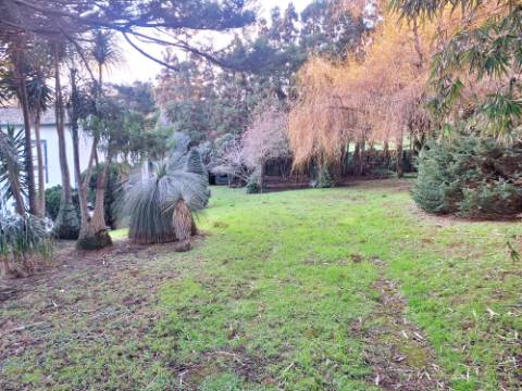 VENDA de AMPLA MORADIA ISOLADA com VASTO JARDIM e TERRENO - Horta, Ilha do Faial, Açores