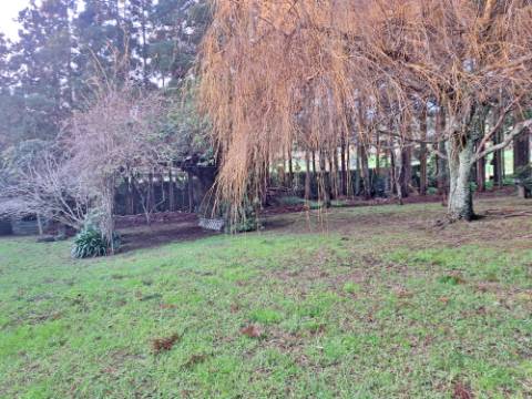 VENDA de AMPLA MORADIA ISOLADA com VASTO JARDIM e TERRENO - Horta, Ilha do Faial, Açores