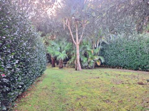 VENDA de AMPLA MORADIA ISOLADA com VASTO JARDIM e TERRENO - Horta, Ilha do Faial, Açores