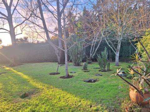 VENDA de AMPLA MORADIA ISOLADA com VASTO JARDIM e TERRENO - Horta, Ilha do Faial, Açores