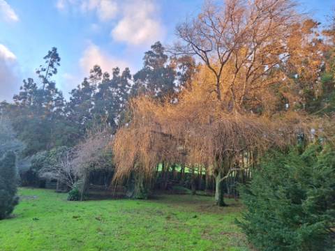 VENDA de AMPLA MORADIA ISOLADA com VASTO JARDIM e TERRENO - Horta, Ilha do Faial, Açores
