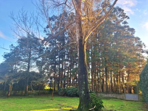 VENDA de AMPLA MORADIA ISOLADA com VASTO JARDIM e TERRENO - Horta, Ilha do Faial, Açores