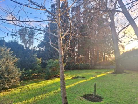 VENDA de AMPLA MORADIA ISOLADA com VASTO JARDIM e TERRENO - Horta, Ilha do Faial, Açores