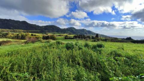 VENDA de MORADIA ISOLADA T2+1 NOVA, com amplo TERRENO - Povoação, Ilha de São Miguel, Açores