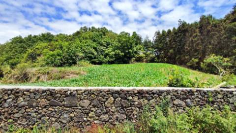 AMPLO TERRENO para projecto industrial junto ao Pico da Pedra, Ribeira Grande, Ilha de São Miguel, Açores