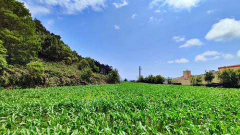 AMPLO TERRENO para projecto industrial junto ao Pico da Pedra, Ribeira Grande, Ilha de São Miguel, Açores