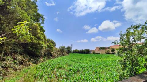 AMPLO TERRENO para projecto industrial junto ao Pico da Pedra, Ribeira Grande, Ilha de São Miguel, Açores