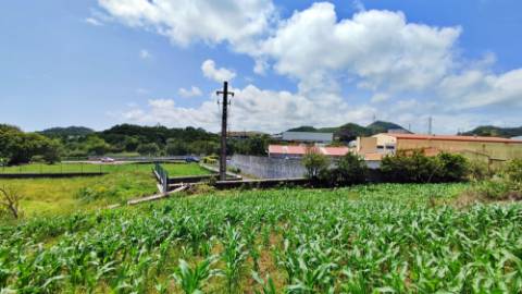 AMPLO TERRENO para projecto industrial junto ao Pico da Pedra, Ribeira Grande, Ilha de São Miguel, Açores