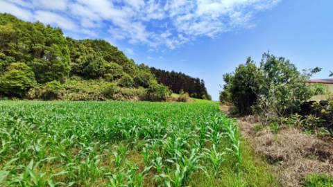 AMPLO TERRENO para projecto industrial junto ao Pico da Pedra, Ribeira Grande, Ilha de São Miguel, Açores