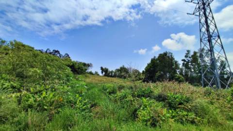 AMPLO TERRENO para projecto industrial junto ao Pico da Pedra, Ribeira Grande, Ilha de São Miguel, Açores