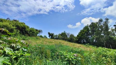 AMPLO TERRENO para projecto industrial junto ao Pico da Pedra, Ribeira Grande, Ilha de São Miguel, Açores