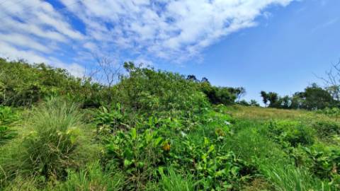 AMPLO TERRENO para projecto industrial junto ao Pico da Pedra, Ribeira Grande, Ilha de São Miguel, Açores