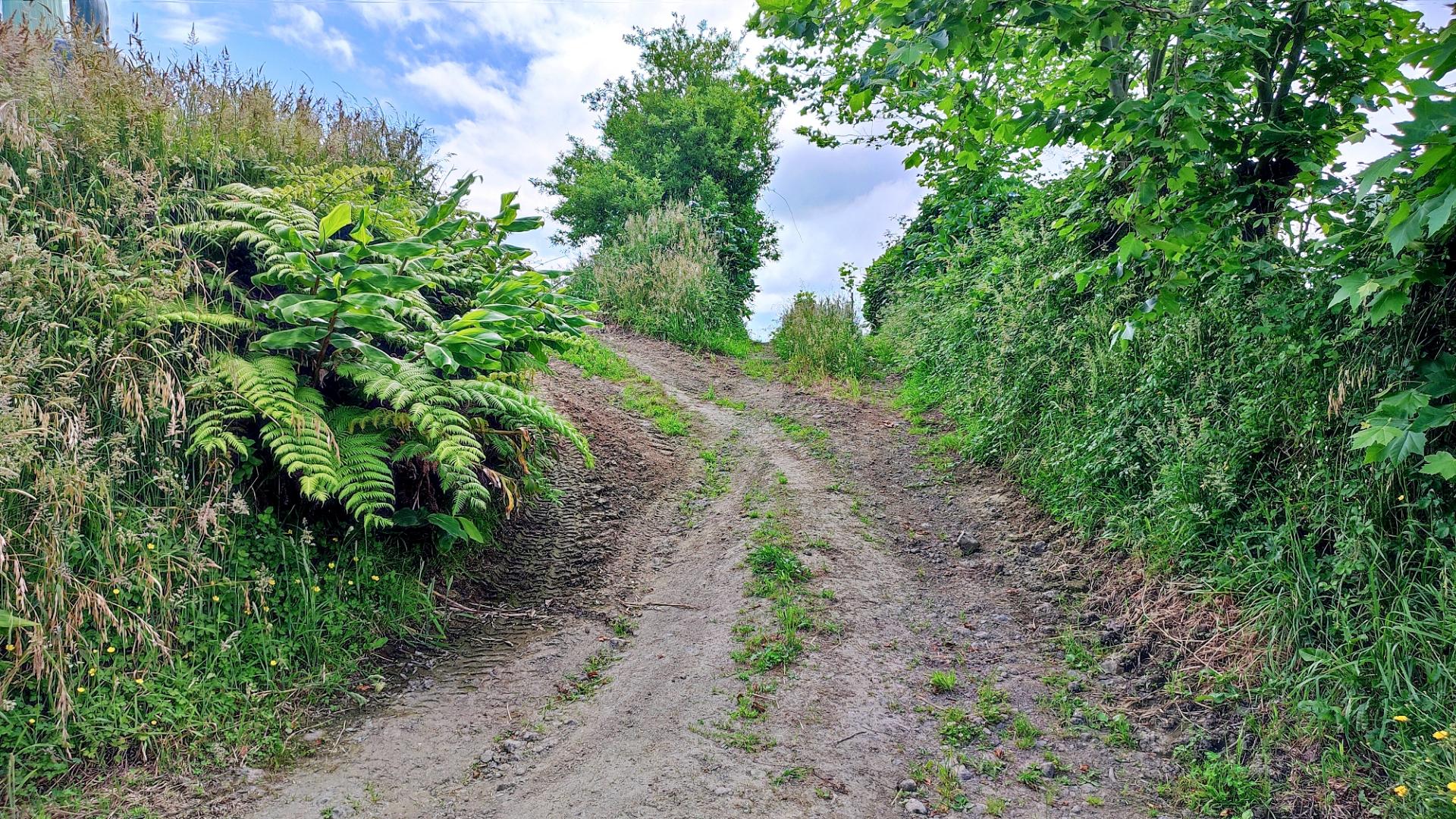 VENDA de AMPLO TERRENO RÚSTICO - Fenais da Ajuda, Ribeira Grande, Ilha de São Miguel, Açores