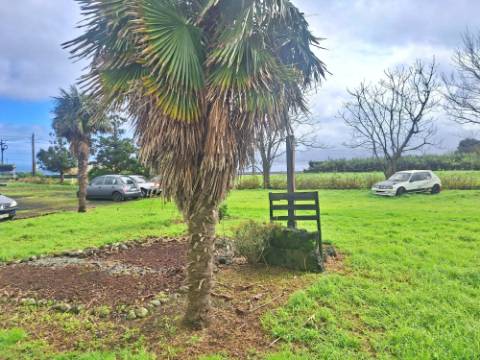 VENDA de Edifício - Comércio - Ginásio com amplo terreno - Ribeirinha, Horta, Ilha do Faial, Açores