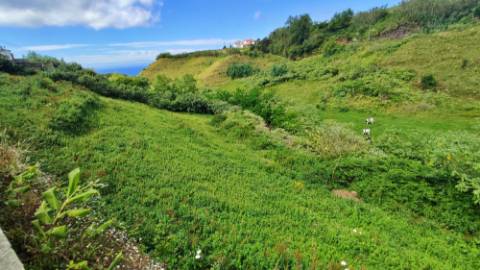 VENDA de TERRENO rústico - Ribeira Funda, Fenais da Ajuda, Ribeira Grande, Ilha de São Miguel, Açores