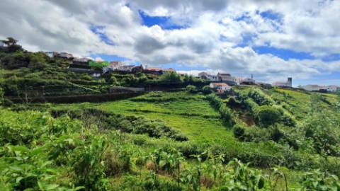 VENDA de TERRENO rústico - Ribeira Funda, Fenais da Ajuda, Ribeira Grande, Ilha de São Miguel, Açores