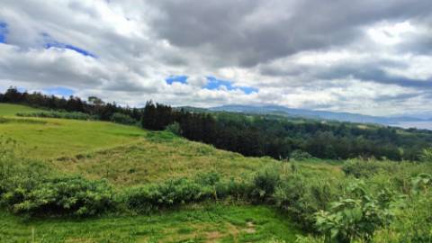 VENDA de TERRENO RÚSTICO - Pastagem e Mata - Ribeira Funda, Fenais da Ajuda, Ribeira Grande, Ilha de São Miguel, Açores