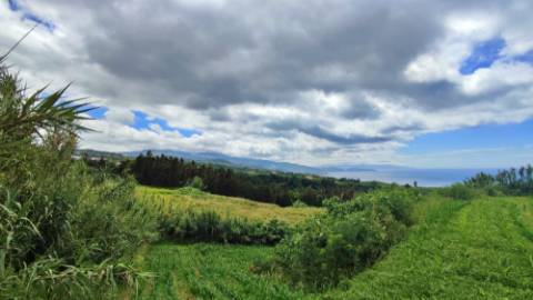 VENDA de TERRENO RÚSTICO - Pastagem e Mata - Ribeira Funda, Fenais da Ajuda, Ribeira Grande, Ilha de São Miguel, Açores