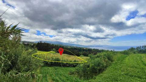 VENDA de TERRENO RÚSTICO - Pastagem e Mata - Ribeira Funda, Fenais da Ajuda, Ribeira Grande, Ilha de São Miguel, Açores