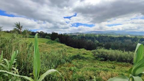 VENDA de TERRENO RÚSTICO - Pastagem e Mata - Ribeira Funda, Fenais da Ajuda, Ribeira Grande, Ilha de São Miguel, Açores