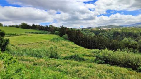 VENDA de TERRENO RÚSTICO - Pastagem e Mata - Ribeira Funda, Fenais da Ajuda, Ribeira Grande, Ilha de São Miguel, Açores