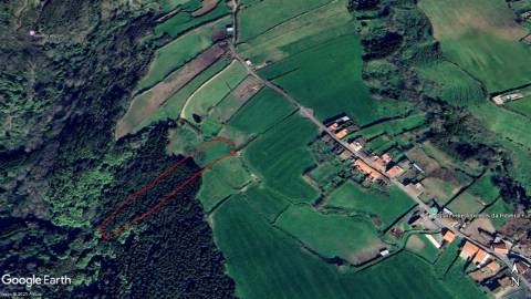 VENDA de TERRENO RÚSTICO - Pastagem e Mata - Ribeira Funda, Fenais da Ajuda, Ribeira Grande, Ilha de São Miguel, Açores