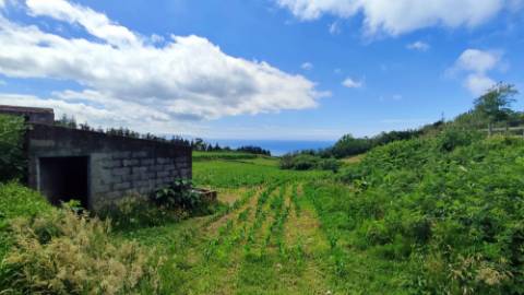 VENDA de TERRENO rústico com vista mar - Ribeira Funda, Fenais da Ajuda, Ribeira Grande, Ilha de São Miguel, Açores