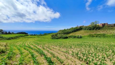 VENDA de TERRENO rústico com vista mar - Ribeira Funda, Fenais da Ajuda, Ribeira Grande, Ilha de São Miguel, Açores