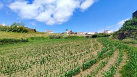 VENDA de TERRENO rústico com vista mar - Ribeira Funda, Fenais da Ajuda, Ribeira Grande, Ilha de São Miguel, Açores