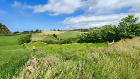 VENDA de TERRENO RÚSTICO - Ribeira Funda, Fenais da Ajuda, Ribeira Grande, Ilha de São Miguel, Açores