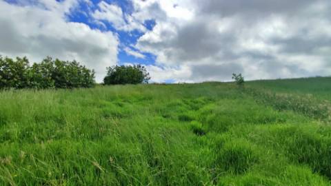 VENDA de TERRENO RÚSTICO - Ribeira Funda, Fenais da Ajuda, Ribeira Grande, Ilha de São Miguel, Açores