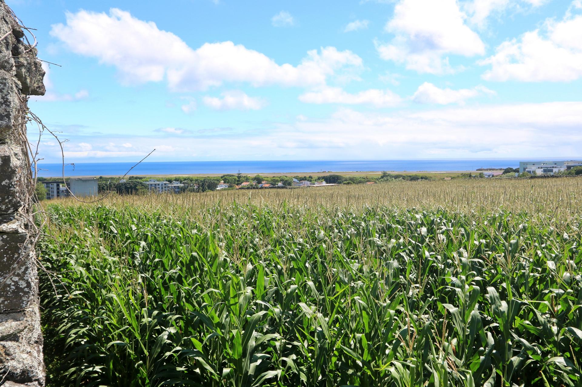 VENDA de TERRENO com potencial para Construção - São José, Ponta Delgada, Ilha de São Miguel, Açores