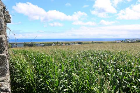 VENDA de TERRENO com potencial para Construção - São José, Ponta Delgada, Ilha de São Miguel, Açores