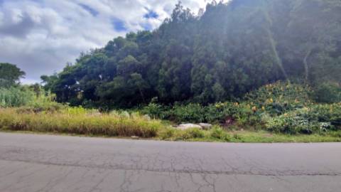 AMPLO TERRENO para VENDA entre Lagoa e Ribeira Grande - Ilha de São Miguel, Açores