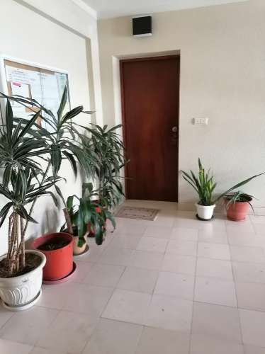 APARTAMENTO T1 MOBILADO para ARRENDAR - Ponta Delgada (São Sebastião), São Miguel, Açores