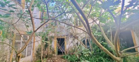 Cessão de Quinhão Hereditário com AMPLO EDIFÍCIO no centro histórico Ponta Delgada, Ilha São Miguel, Açores