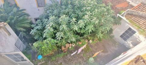 Cessão de Quinhão Hereditário com AMPLO EDIFÍCIO no centro histórico Ponta Delgada, Ilha São Miguel, Açores