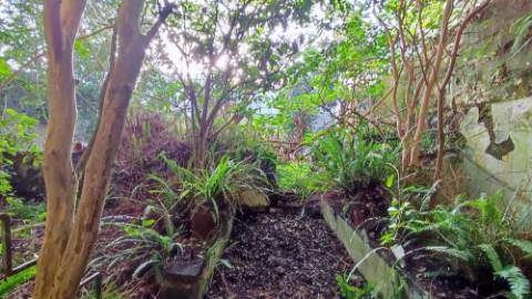 AMPLO EDIFÍCIO - MORADIA com QUINTAL no centro histórico Ponta Delgada, Ilha São Miguel, Açores
