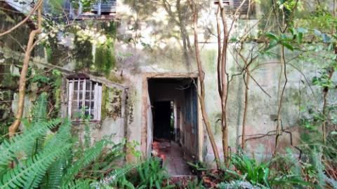 AMPLO EDIFÍCIO - MORADIA com QUINTAL no centro histórico Ponta Delgada, Ilha São Miguel, Açores