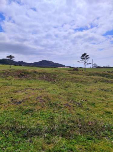 TERRENO com Vista Mar - Criação Velha, Madalena, Ilha do Pico, Açores