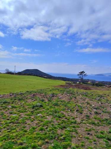 TERRENO com Vista Mar - Criação Velha, Madalena, Ilha do Pico, Açores