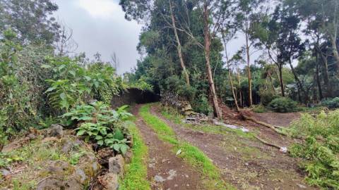 TERRENO para VENDA - São Vicente Ferreira, Ponta Delgada, Ilha de São Miguel, Açores