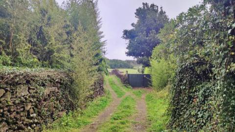 TERRENO para VENDA - São Vicente Ferreira, Ponta Delgada, Ilha de São Miguel, Açores