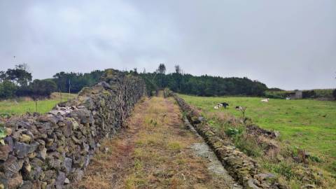 TERRENO para VENDA - São Vicente Ferreira, Ponta Delgada, Ilha de São Miguel, Açores