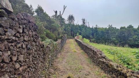 TERRENO para VENDA - São Vicente Ferreira, Ponta Delgada, Ilha de São Miguel, Açores